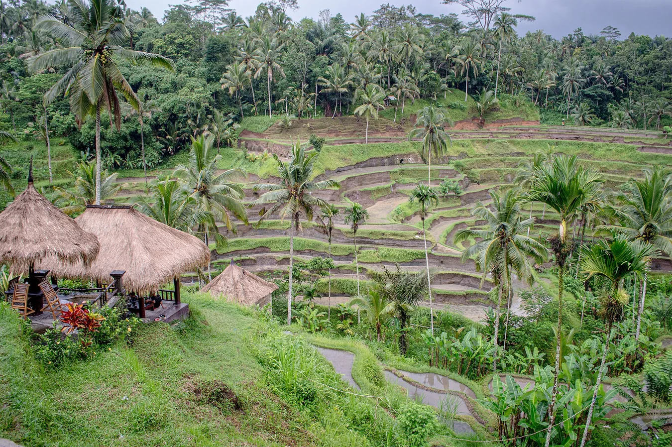 Bali & Malaysia photo 1