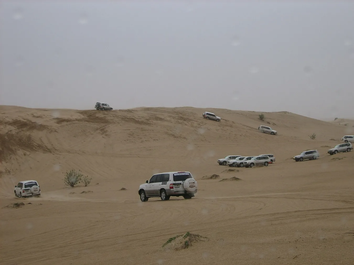 Dubai & Abu Dhabi photo 3