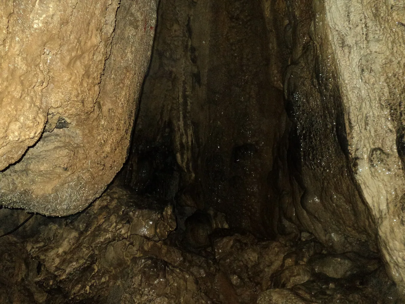 Meghalaya Group Tour photo 3