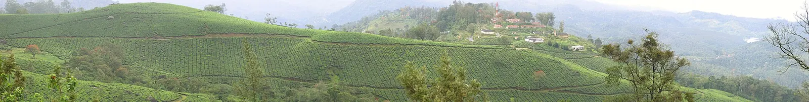Kerala Tour photo 2