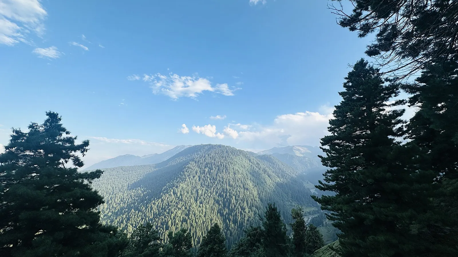 Kashmir Tour photo 4