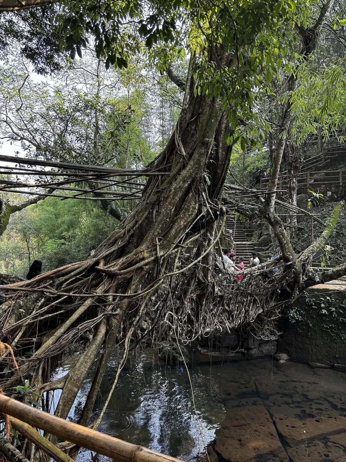 Meghalaya Tour photo 1