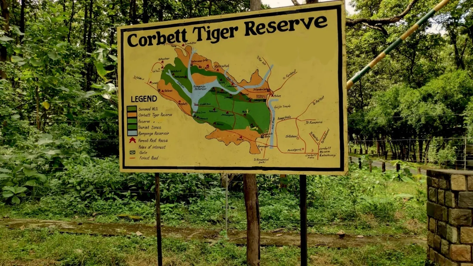 Jim Corbett Pool Party photo 1