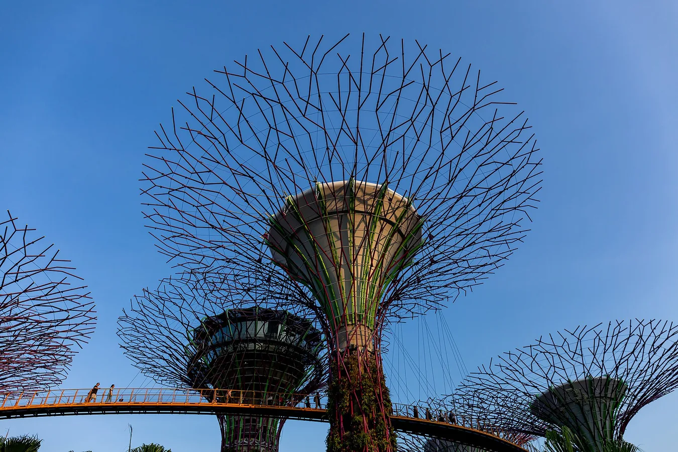 Singapore & Malaysia photo 1